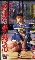 人妻蛇縛の夢想花 池野瞳(JB044)