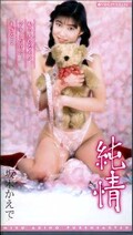 純情 坂木かえで(VKL007)
