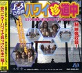 ハワイ珍道中(DVD)(BHD001)