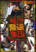 痴漢緊迫集団 総集編Part16(DVD)(GQD139)