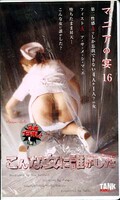 マニアの宴16 こんな女に誰がした(KT550)