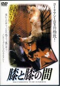 膝と膝の間(DVD)(GNBF-7272)